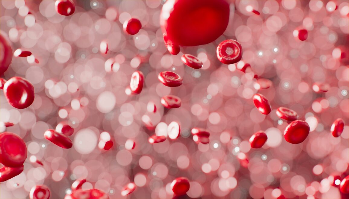 Red blood cells